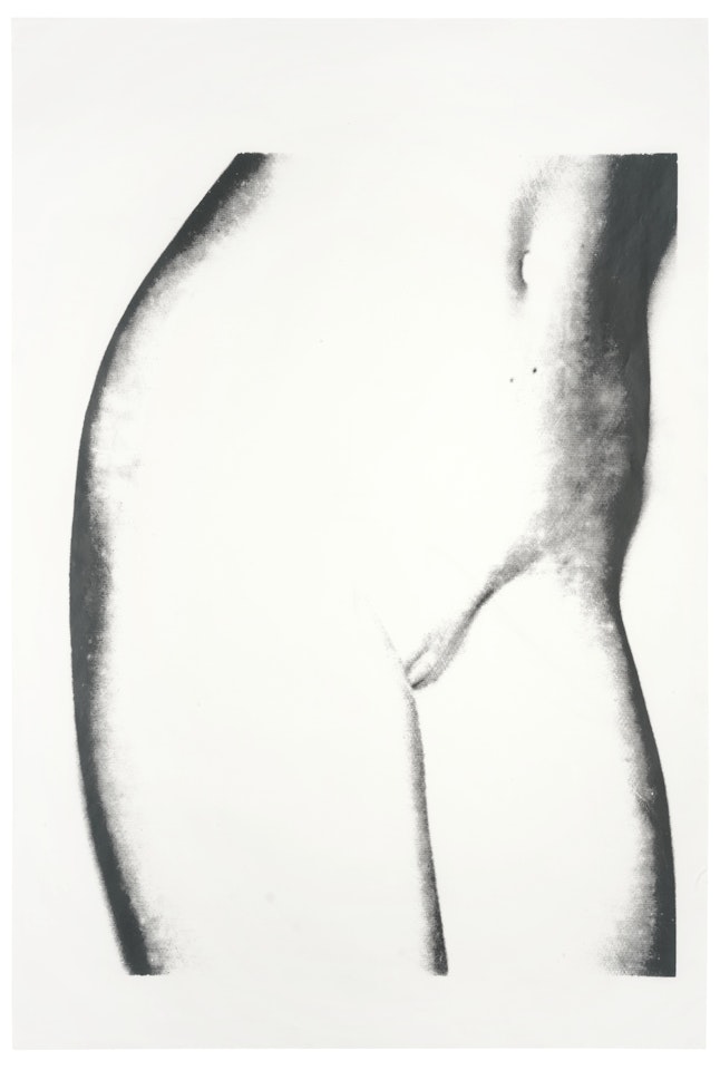 TORSO by Andy Warhol