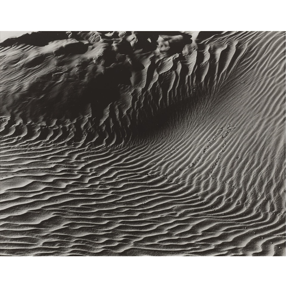 Dunes, Oceano by Edward Weston