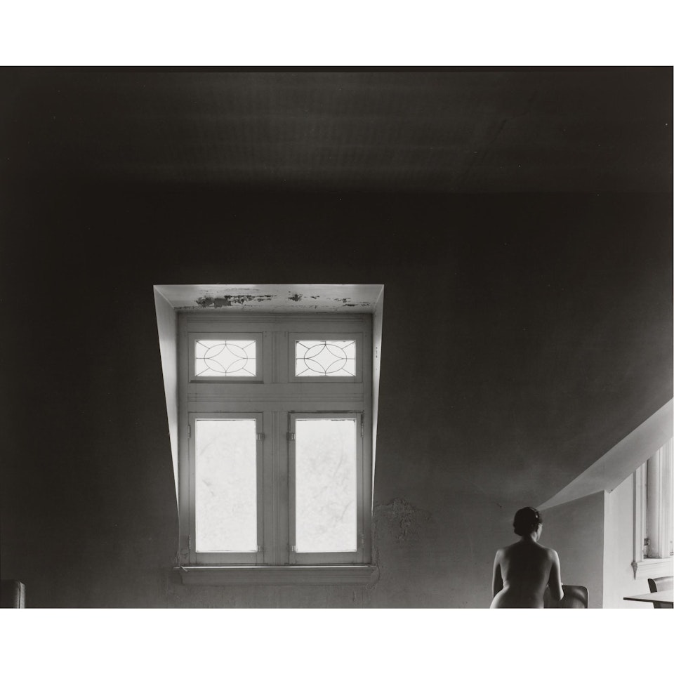 Selected Studies Of Eleanor by Harry Callahan
