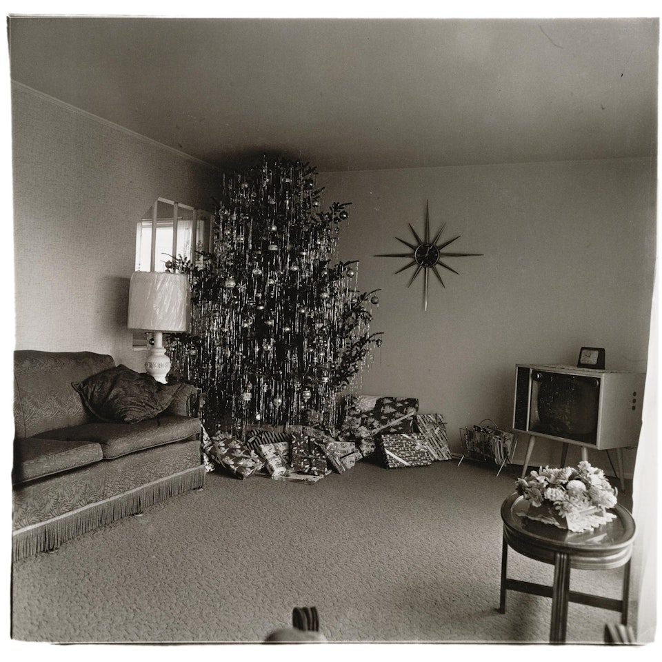 Xmas Tree In A Living Room In Levittown, L. I. by Diane Arbus by Neil Selkirk