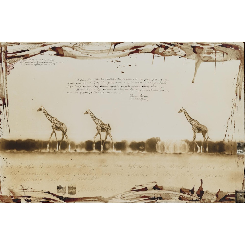 Giraffes On The Taru Desert, Kenya by Peter Beard