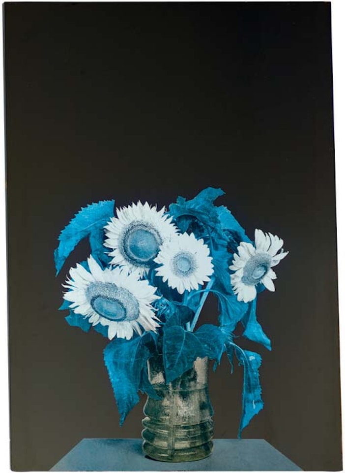 Tournesols by Michelangelo Pistoletto