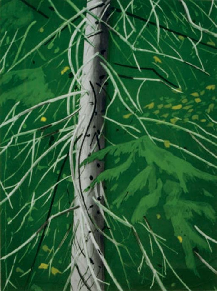 Spruce by Alex Katz
