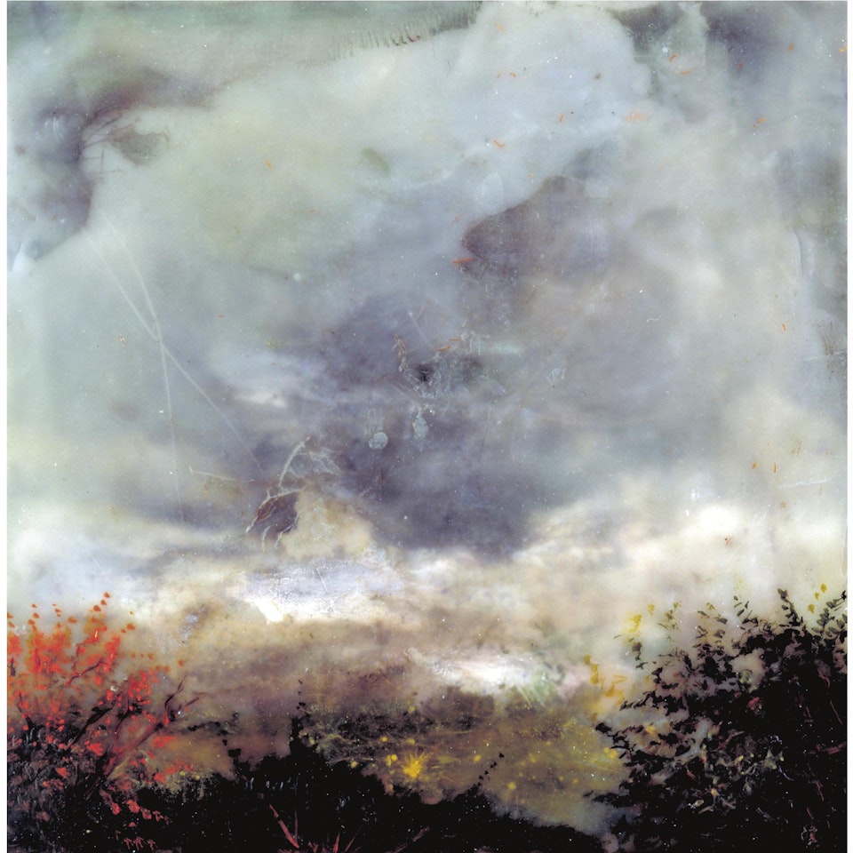 Untitled (#347) by Joan Nelson