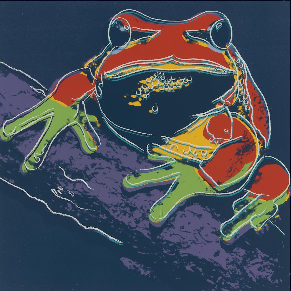 Pine Barrens Tree Frog (F. & S. II.294) by Andy Warhol