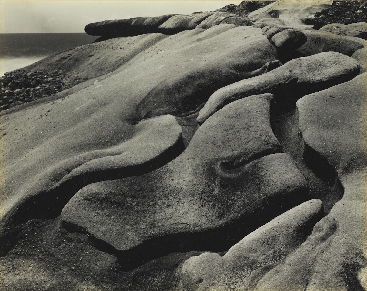 POINT LOBOS by Edward Weston