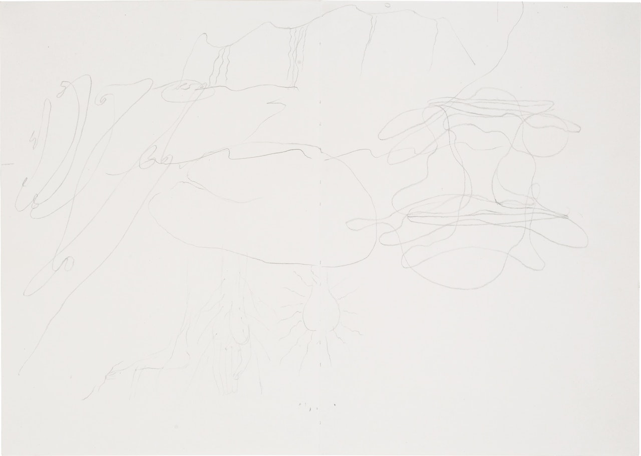 FÜR IRLAND by Joseph Beuys