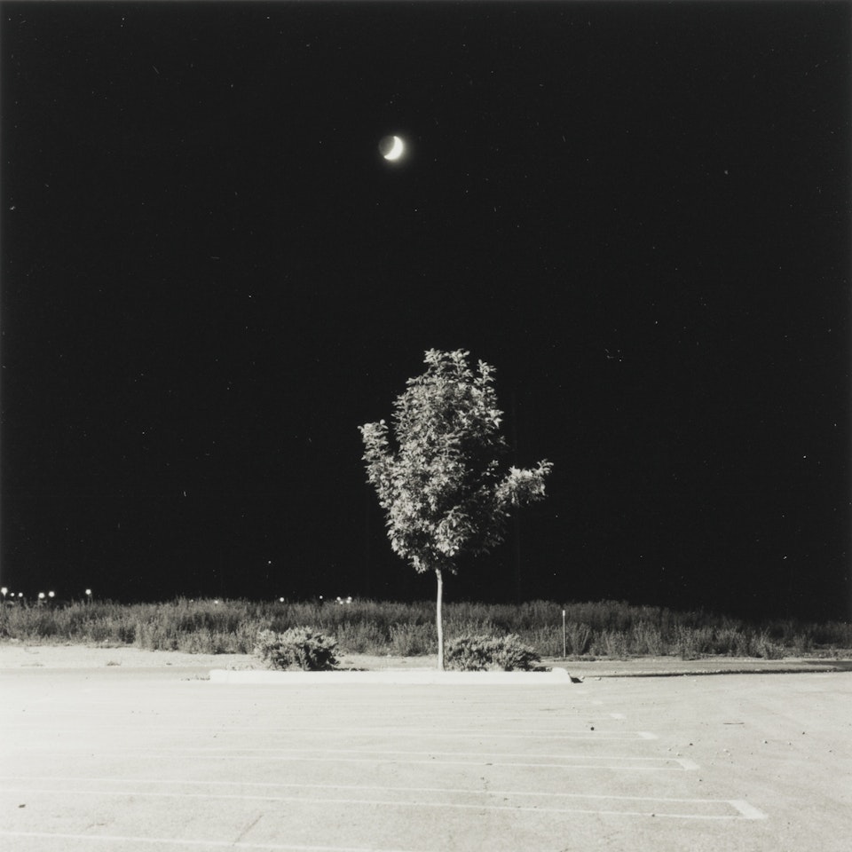 FORT COLLINS, COLORADO by Robert Adams