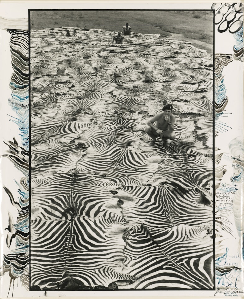 ZEBRA CARPET, LARIAK ESTATE, LAIKYSIA, SEPT. 1960, FOR THE END OF THE GAME . . . LAST WORD FROM PARADISE' by Peter Beard