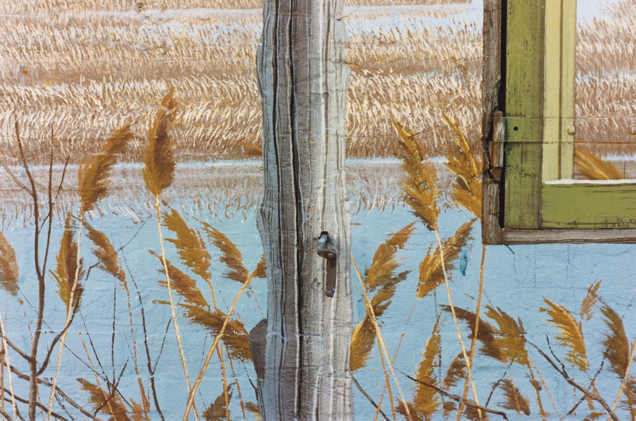 SAN GIOVANNI IN PERSICETO (BLUE WHEAT) by Luigi Ghirri