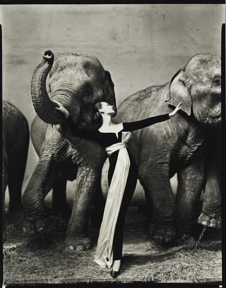 DOVIMA WITH ELEPHANTS, EVENING DRESS BY DIOR, CIRQUE D'HIVER, PARIS, AUGUST 1955' by Richard Avedon
