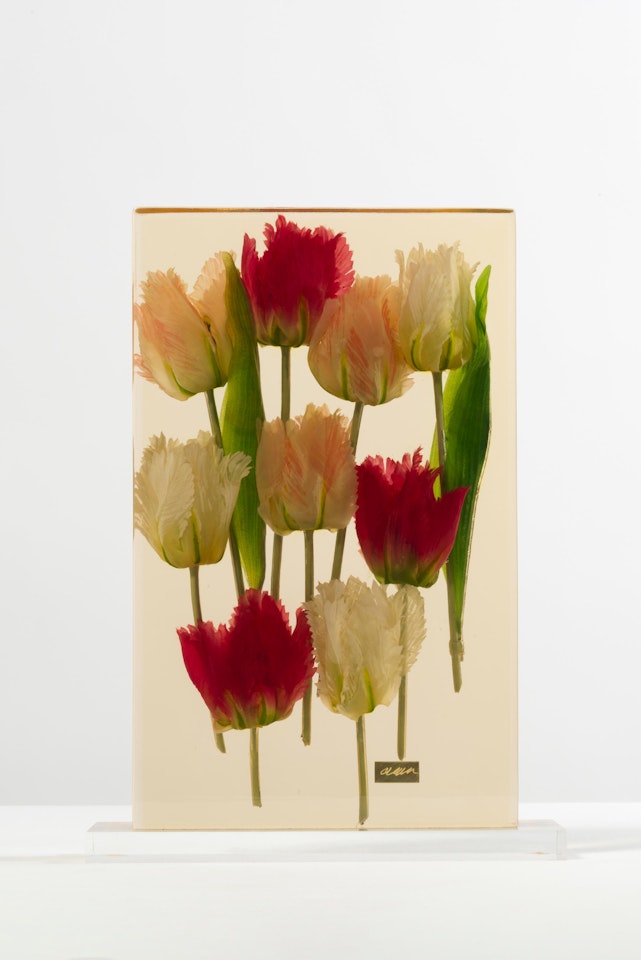 Tulipes by Arman