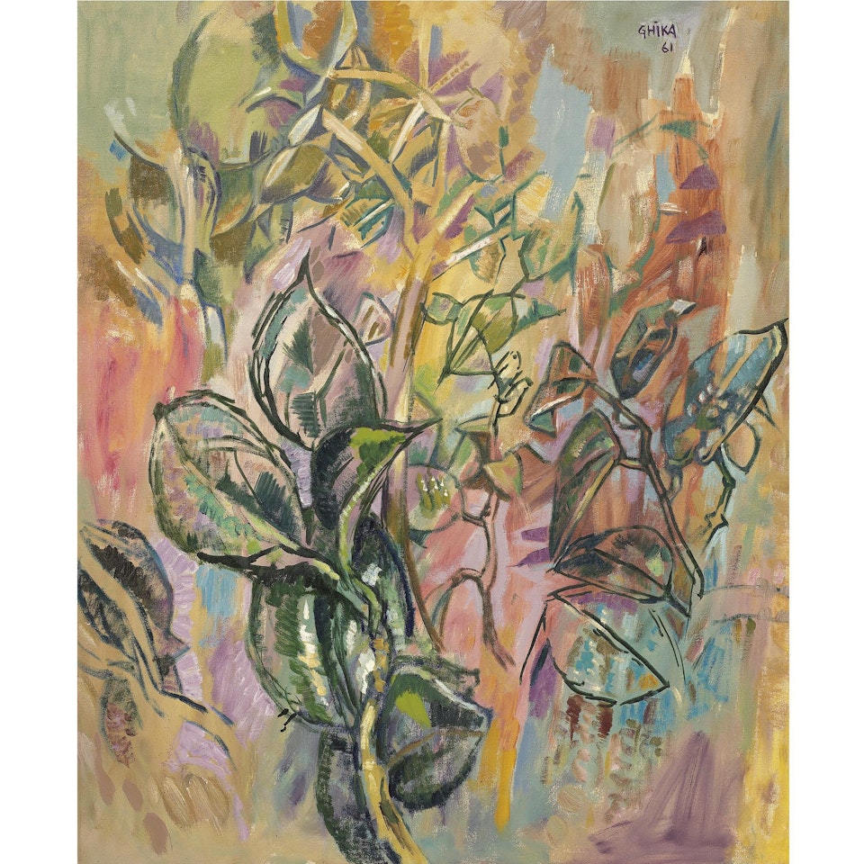 Leaves by Nicolas Ghika