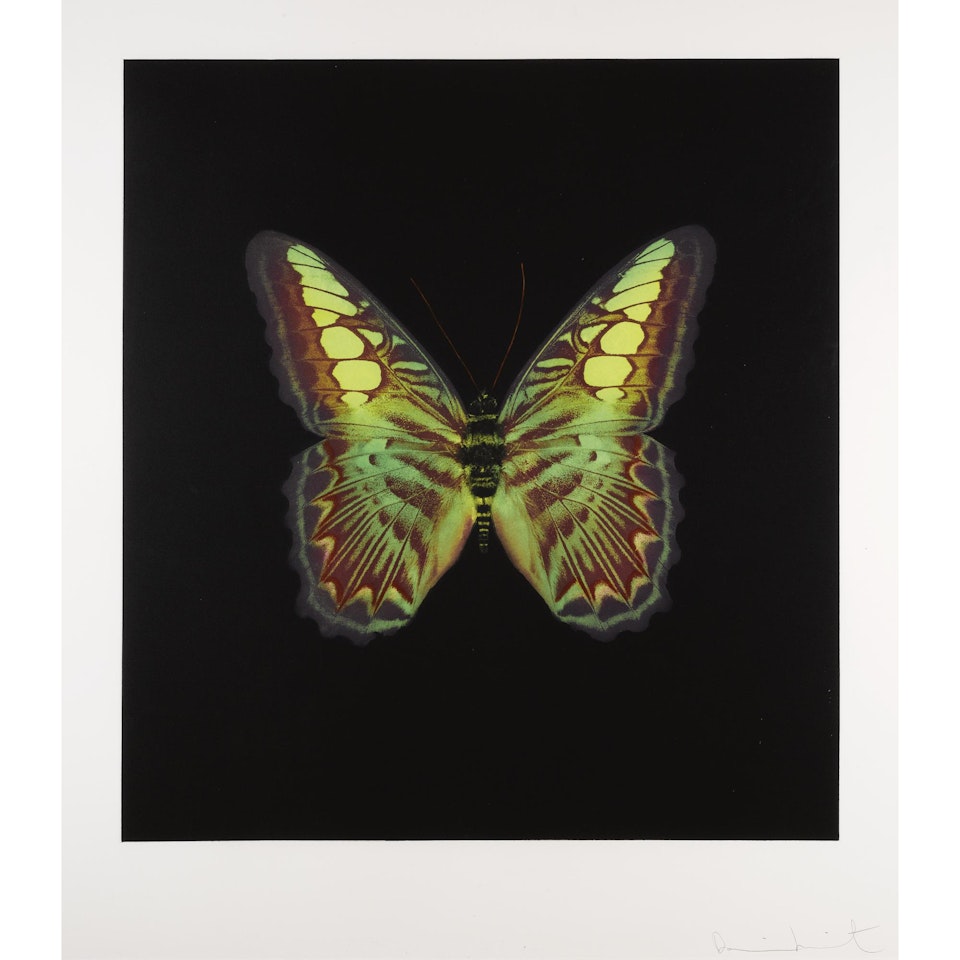 The Souls On Jacobs Ladder Take Their Flight, Plate 02 by Damien Hirst