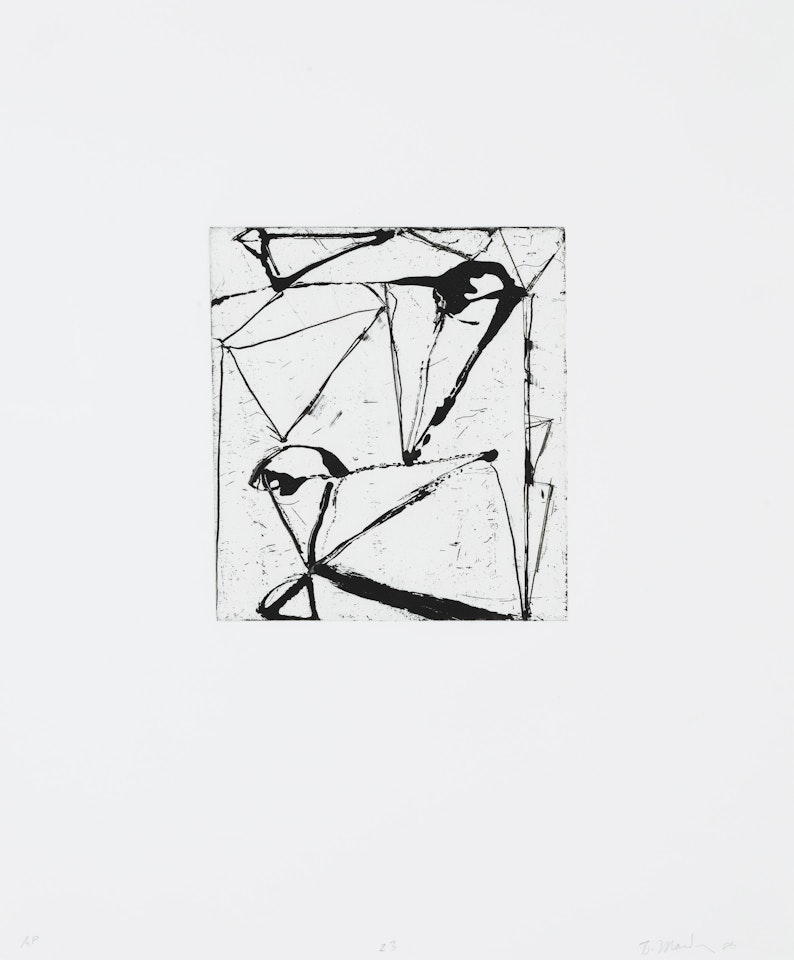 Plate 23, from Etchings to Rexroth by Brice Marden