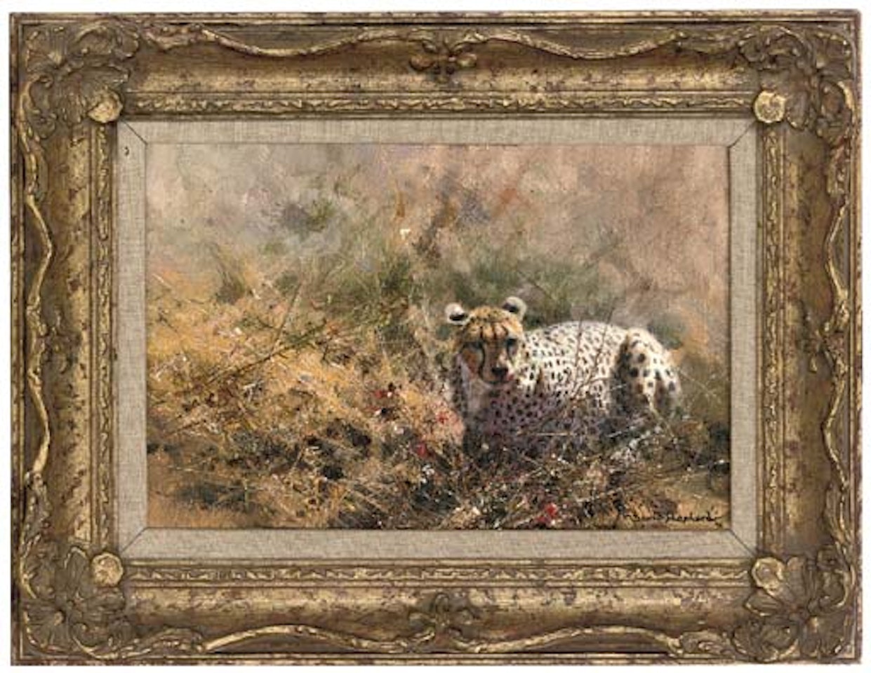 Cheetah by David Shepherd