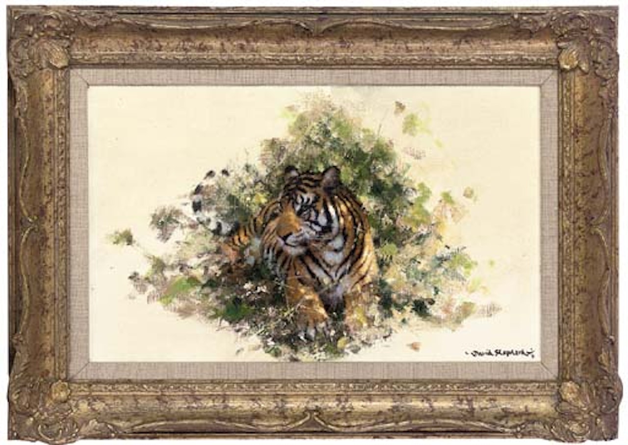 Tiger in the shade by David Shepherd