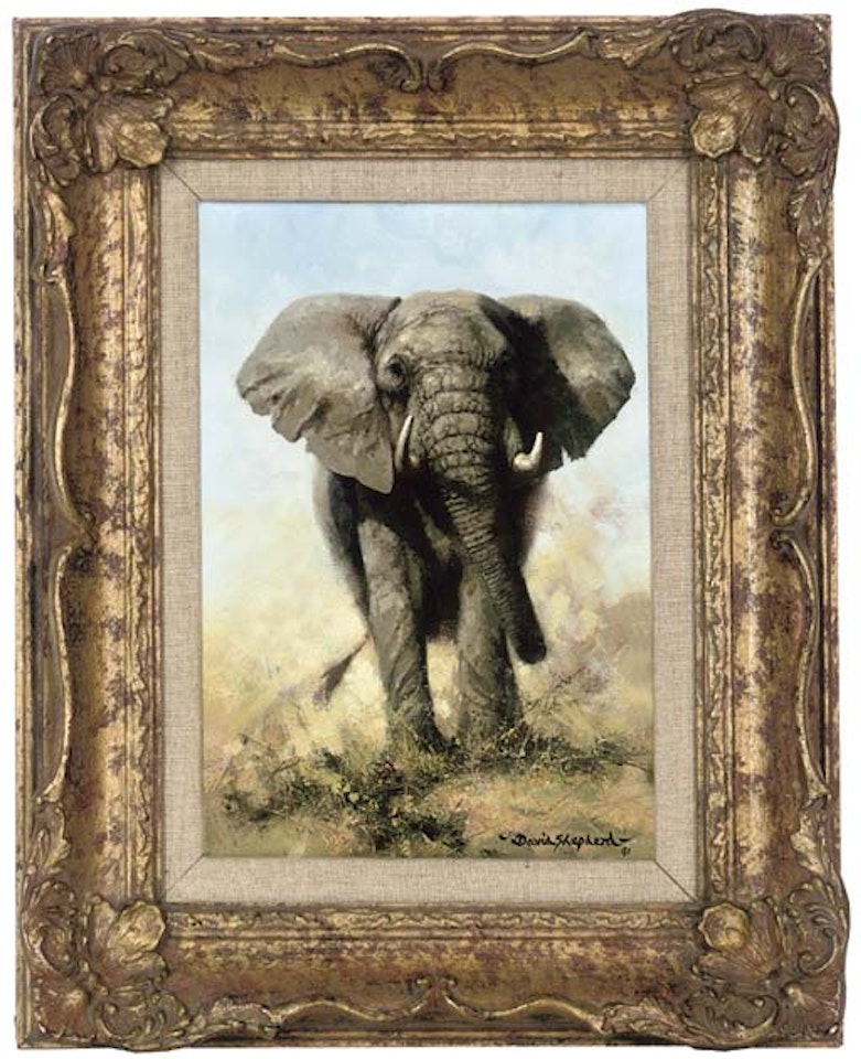 The matriarch by David Shepherd