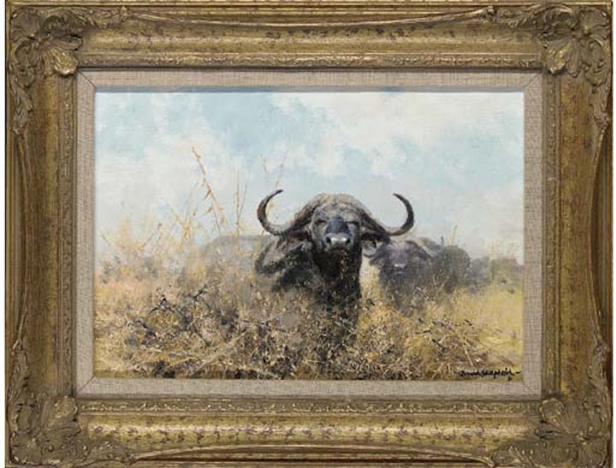 Buffalo beware by David Shepherd