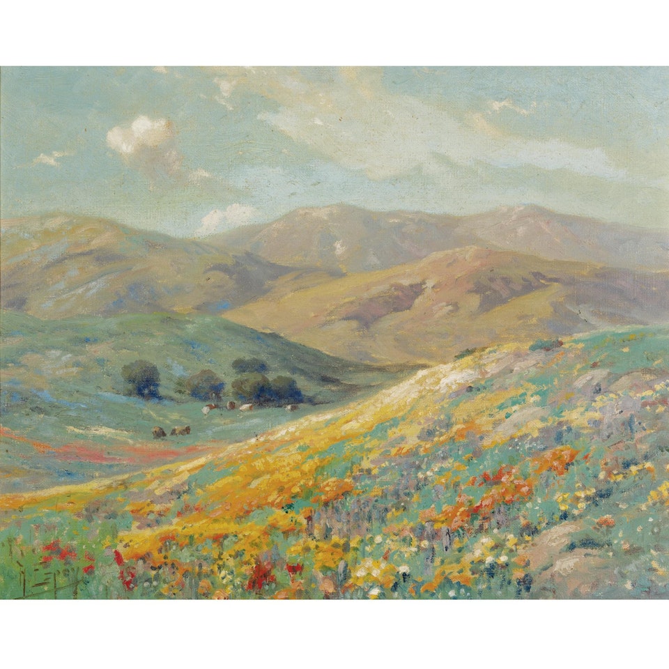 The Texas Hill Country In Bloom by Angel Espoy