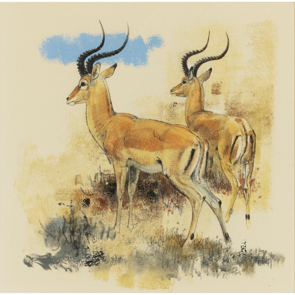 Impala by Bob Kuhn