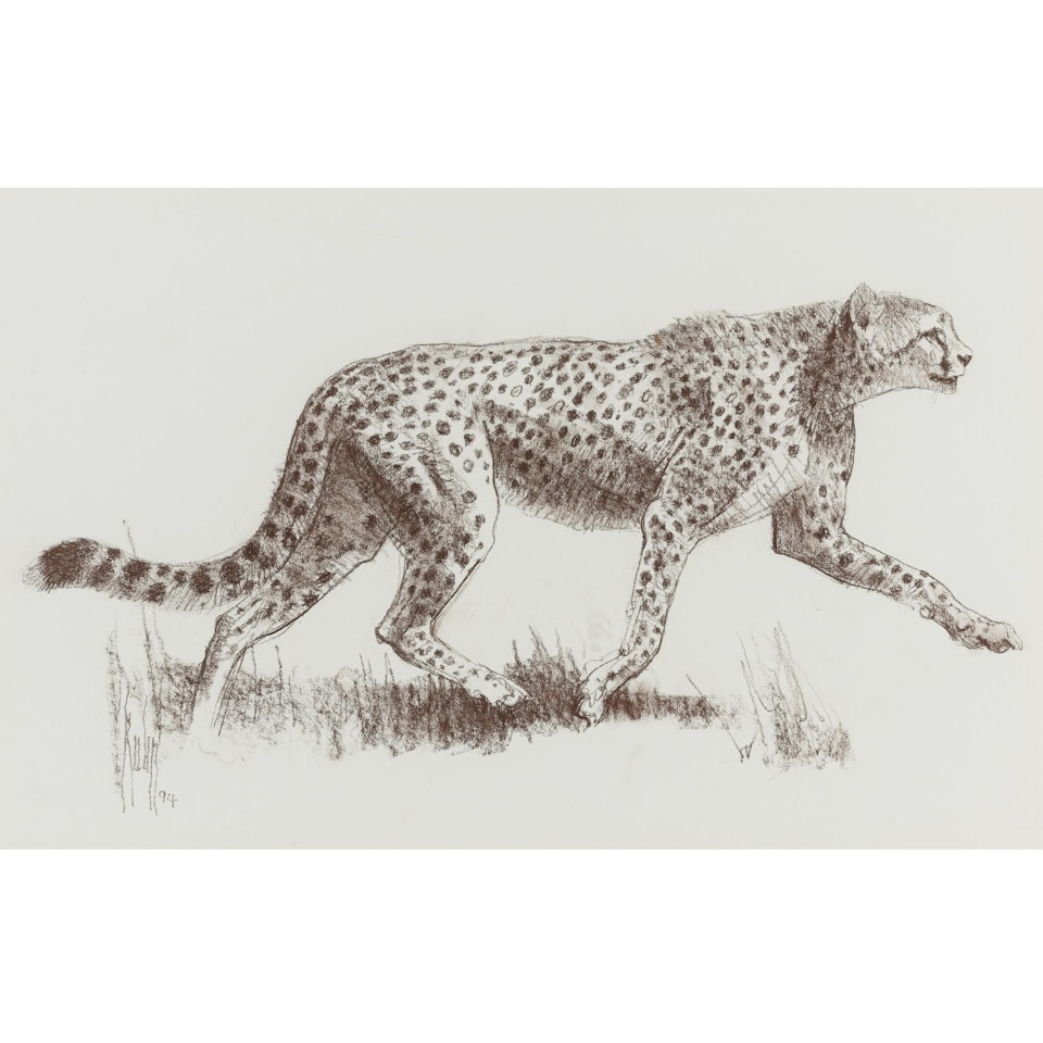 Striding Cheetah by Bob Kuhn