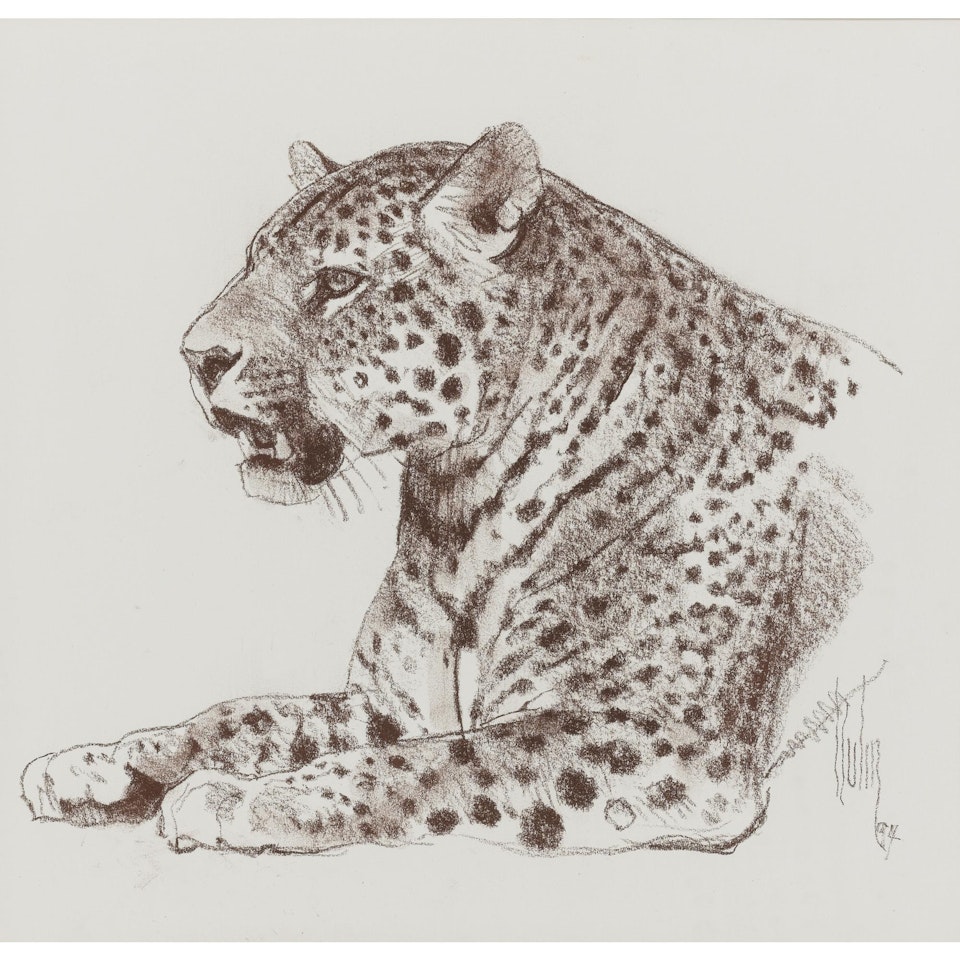 Jaguar Head by Bob Kuhn