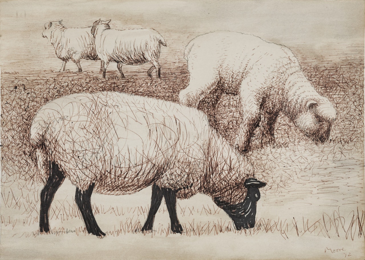 Studies of Sheep III by Henry Moore