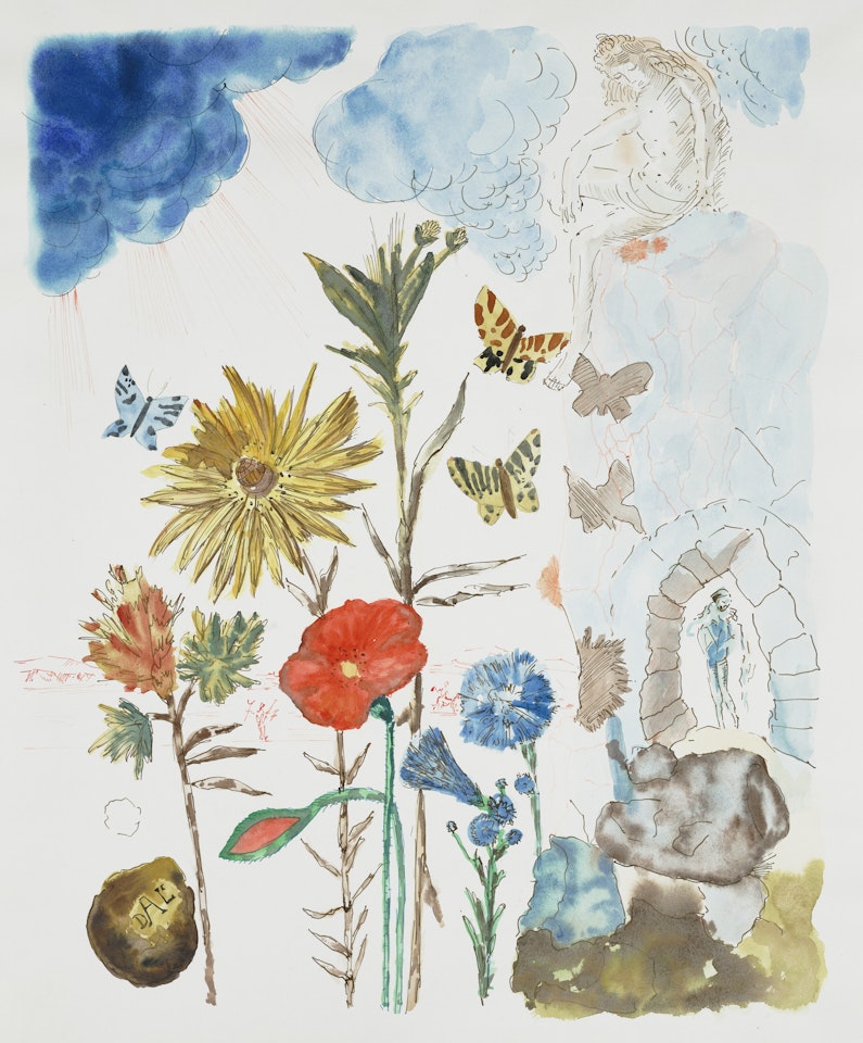 Fleurs et papillons by Salvador Dali