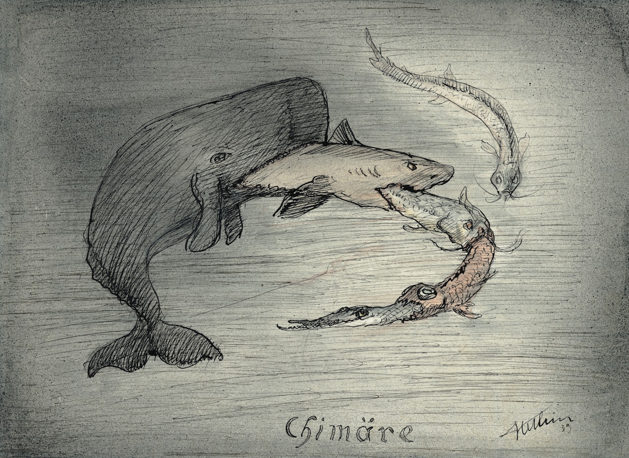 Chimäre by Alfred Kubin