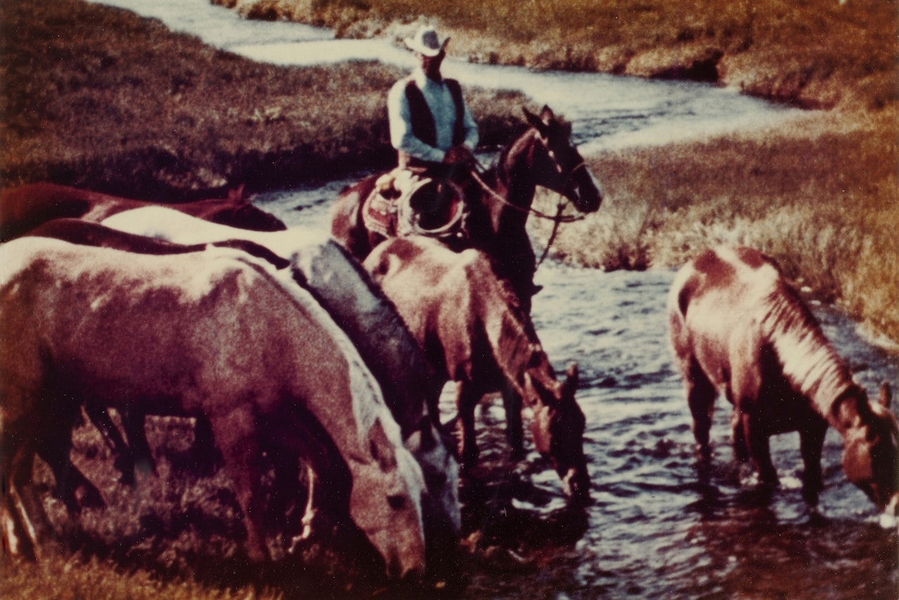 #14 Untitled (Cowboy Watering Horses) by Richard Prince