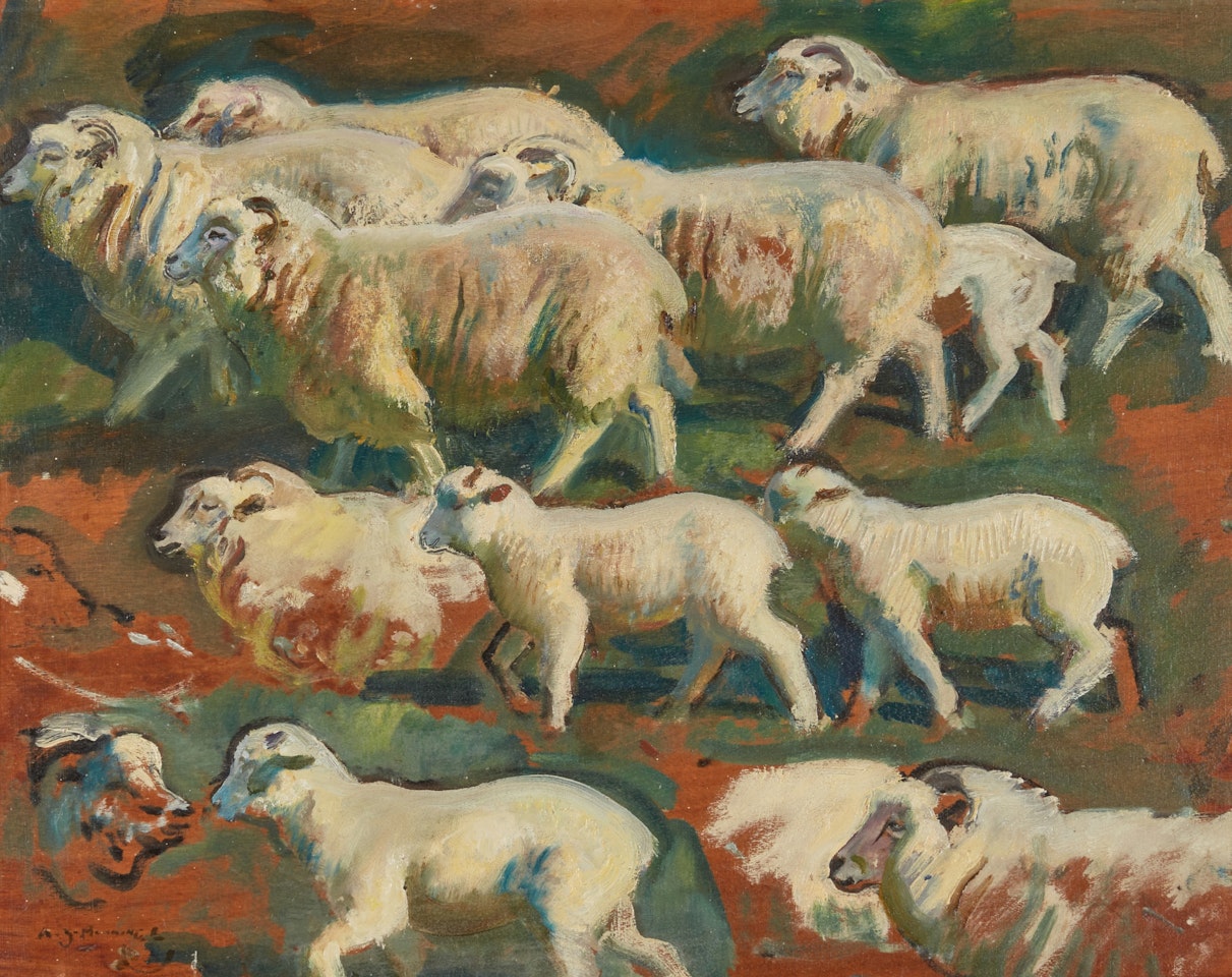 Studies of sheep by Alfred James Munnings