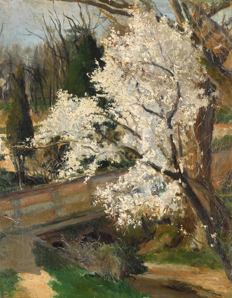 Spring Blossom by Aureliano de Beruete