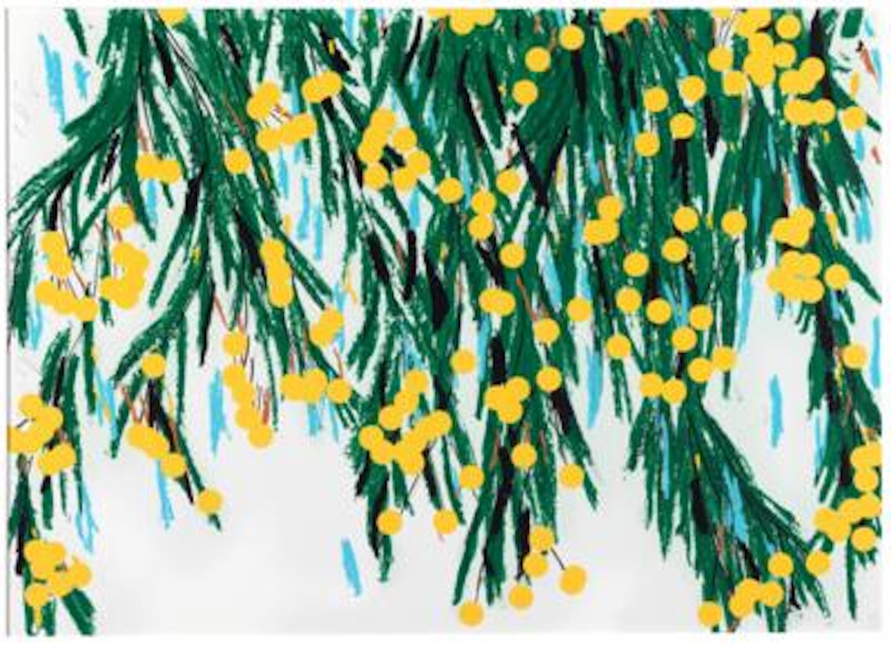 "Yellow Mimosa" by Donald Sultan