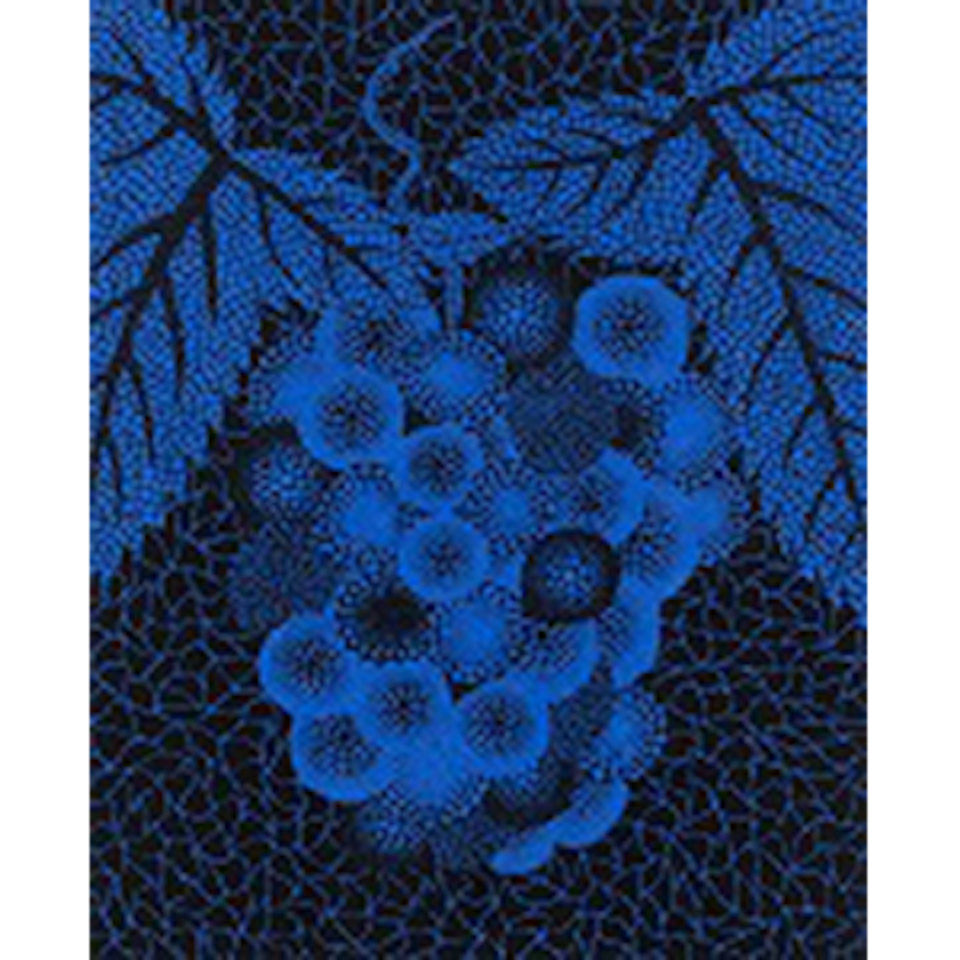 Grapes (Kusama 28) by Yayoi Kusama