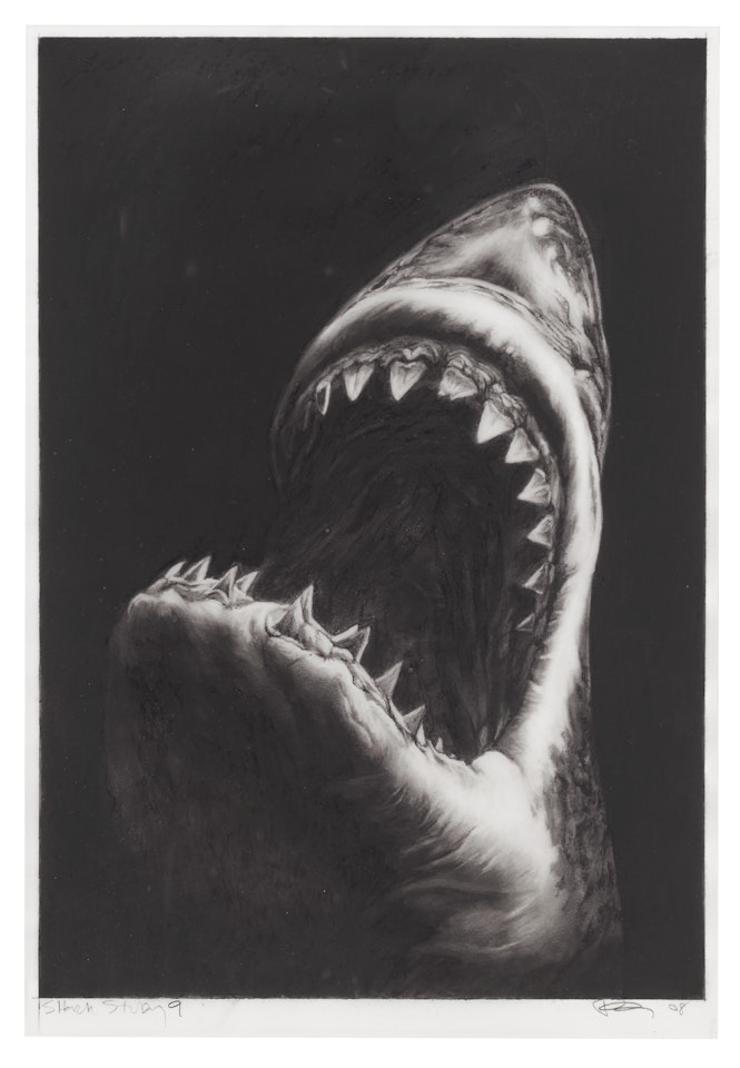 Shark Study 9 by Robert Longo