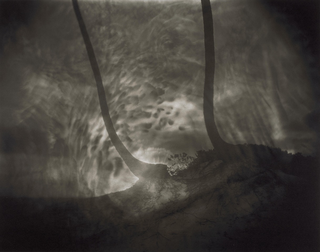 Untitled by Sally Mann