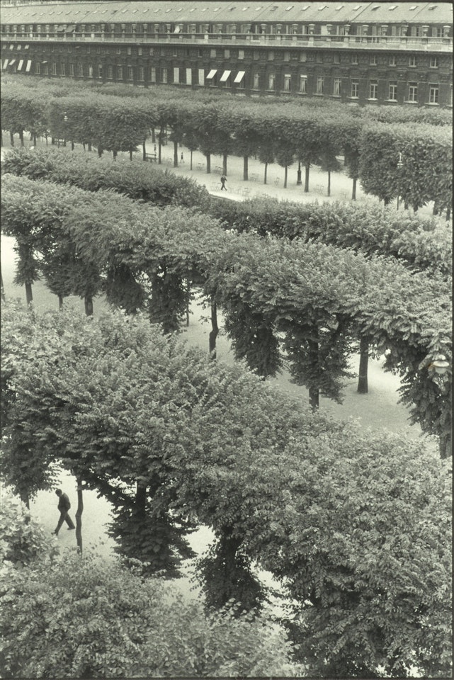 Gardens of the Palais Royal, Paris by Henri Cartier-Bresson