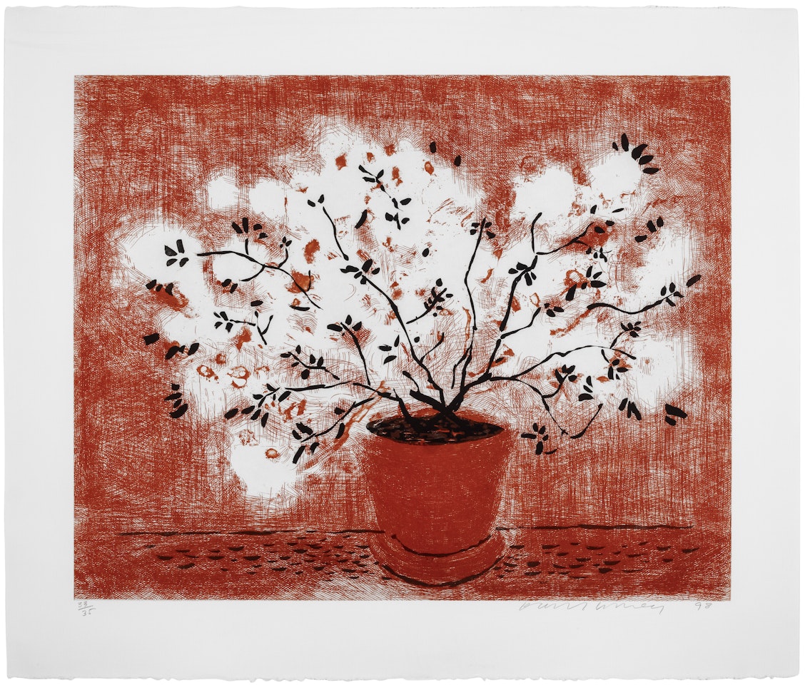 Red Wire Plant, from Recent Etchings by David Hockney