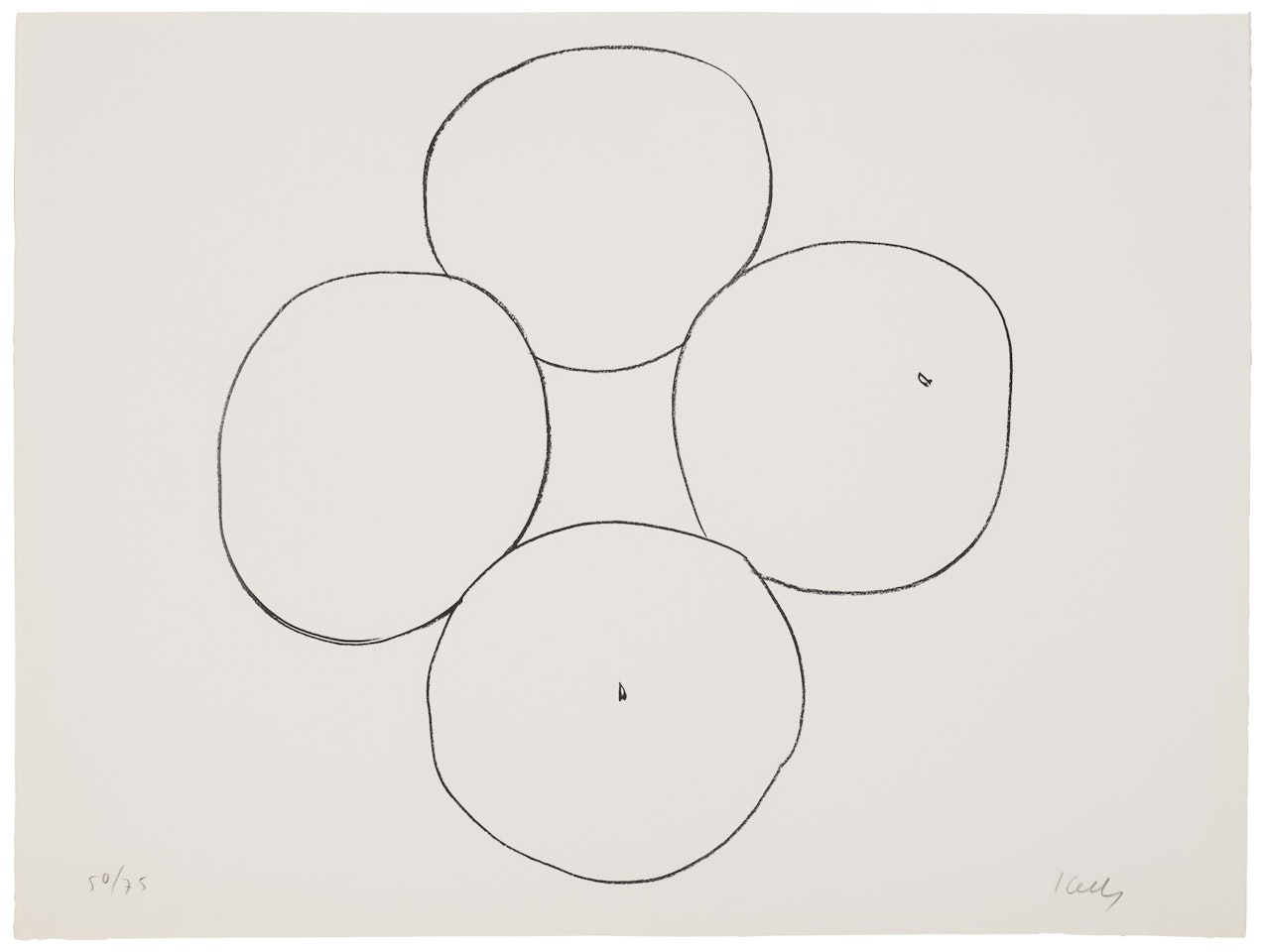 Oranges, from Suite of Plant Lithographs by Ellsworth Kelly