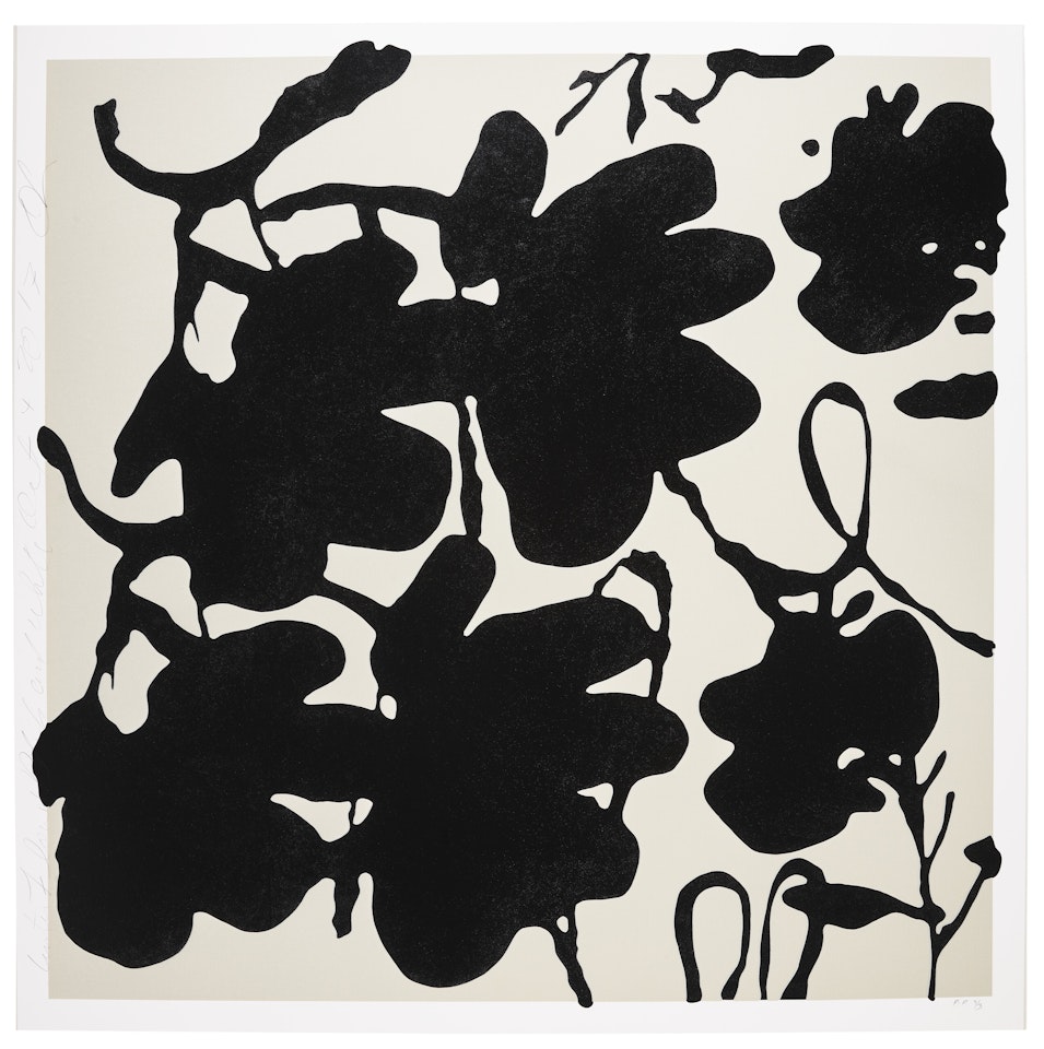 Lantern Flowers, Black and White, Oct 4, , from Big Lantern Flowers by Donald Sultan