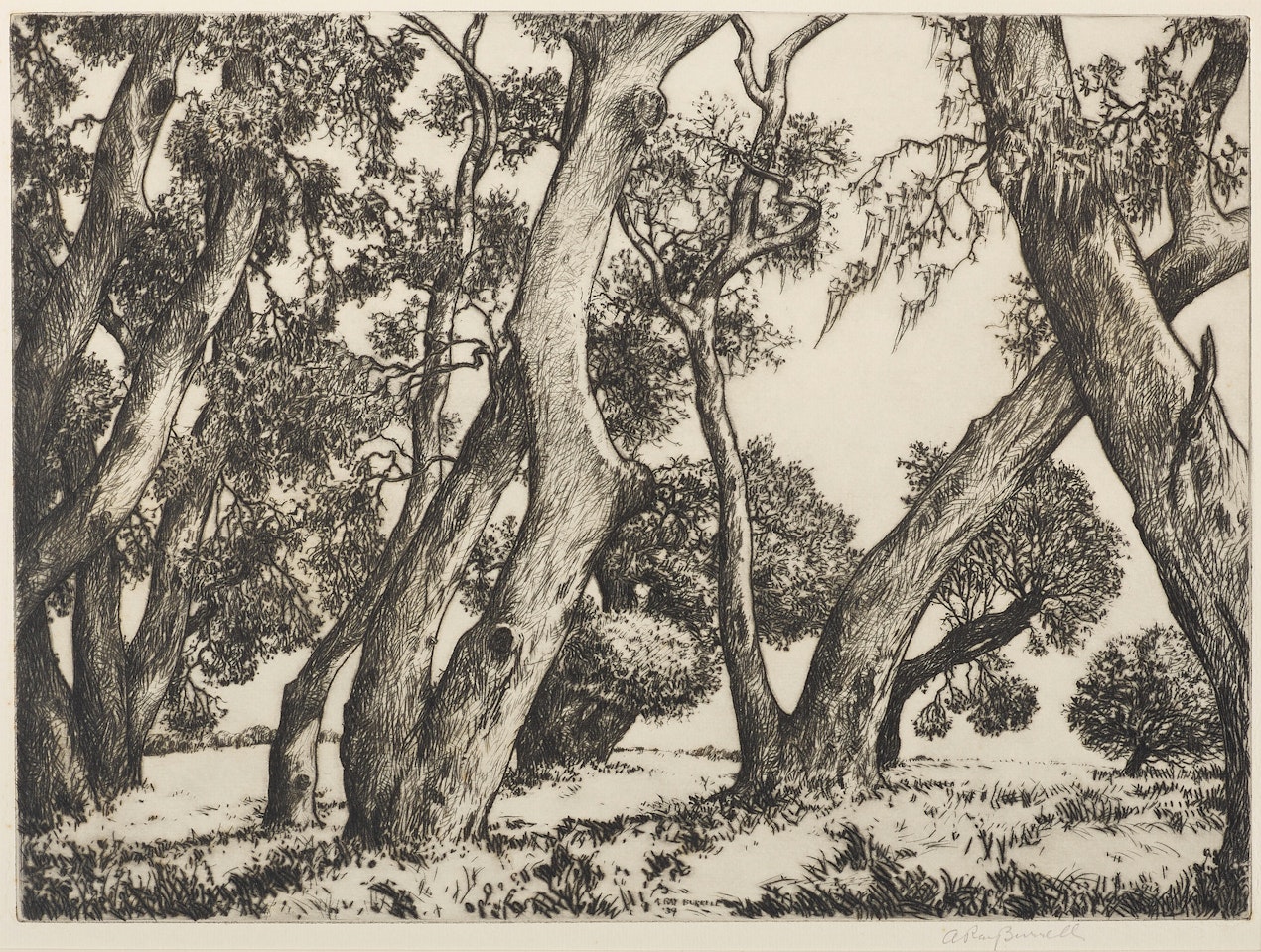 A Group of 5 Etchings by Various Artists