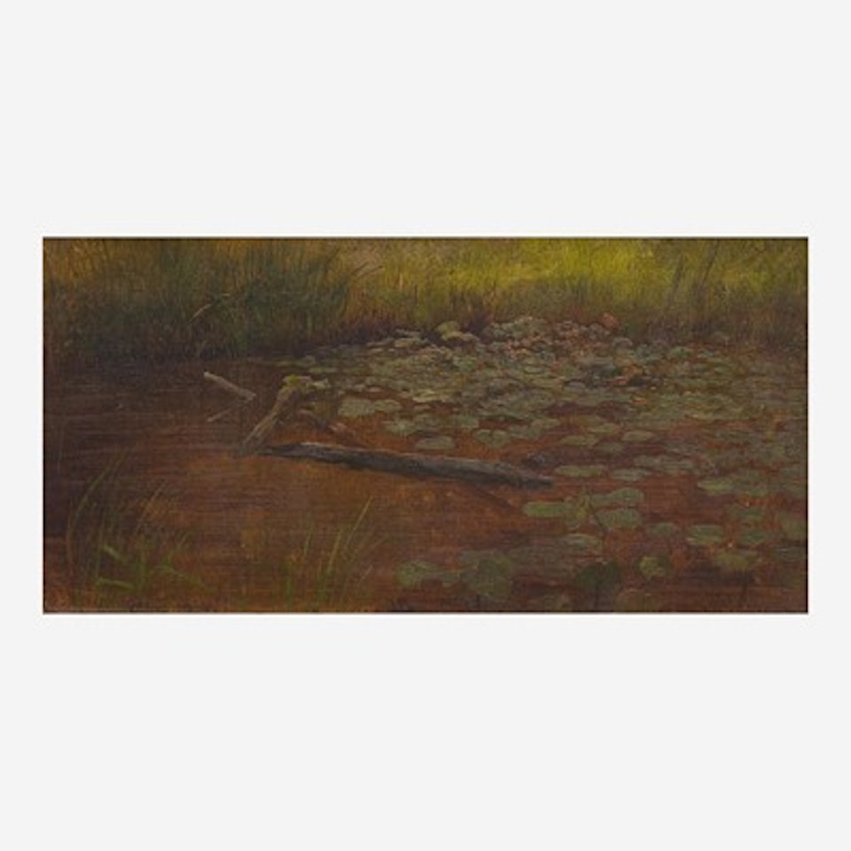 Study of Water Lilies by Albert Bierstadt