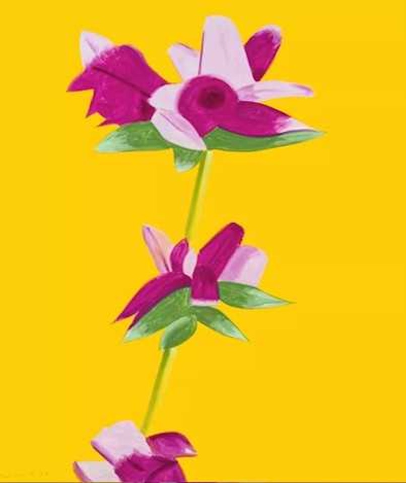 Azaleas on Yellow (from the Flowers portfolio) by Alex Katz
