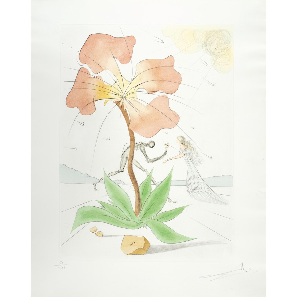 Reuben, from Twelve Tribes of Israel by Salvador Dali
