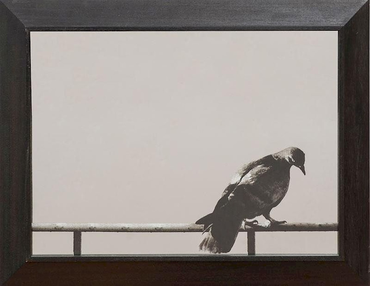 COLUMBA, FROM HOMMAGE À PICASSO by Michelangelo Pistoletto