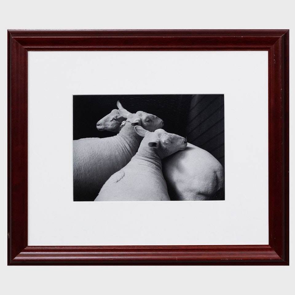 Untitled by André Kertész