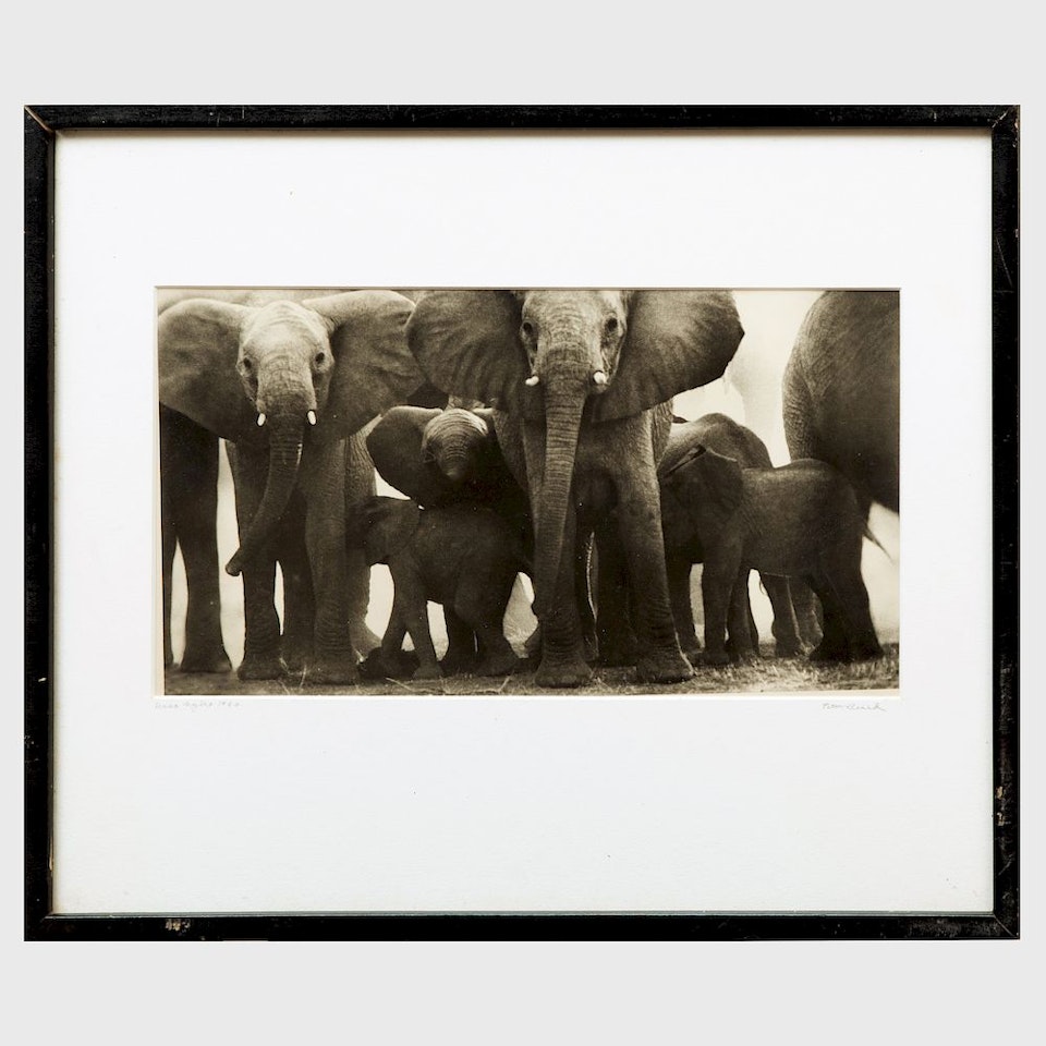 Uaso Nyiro by Peter Beard