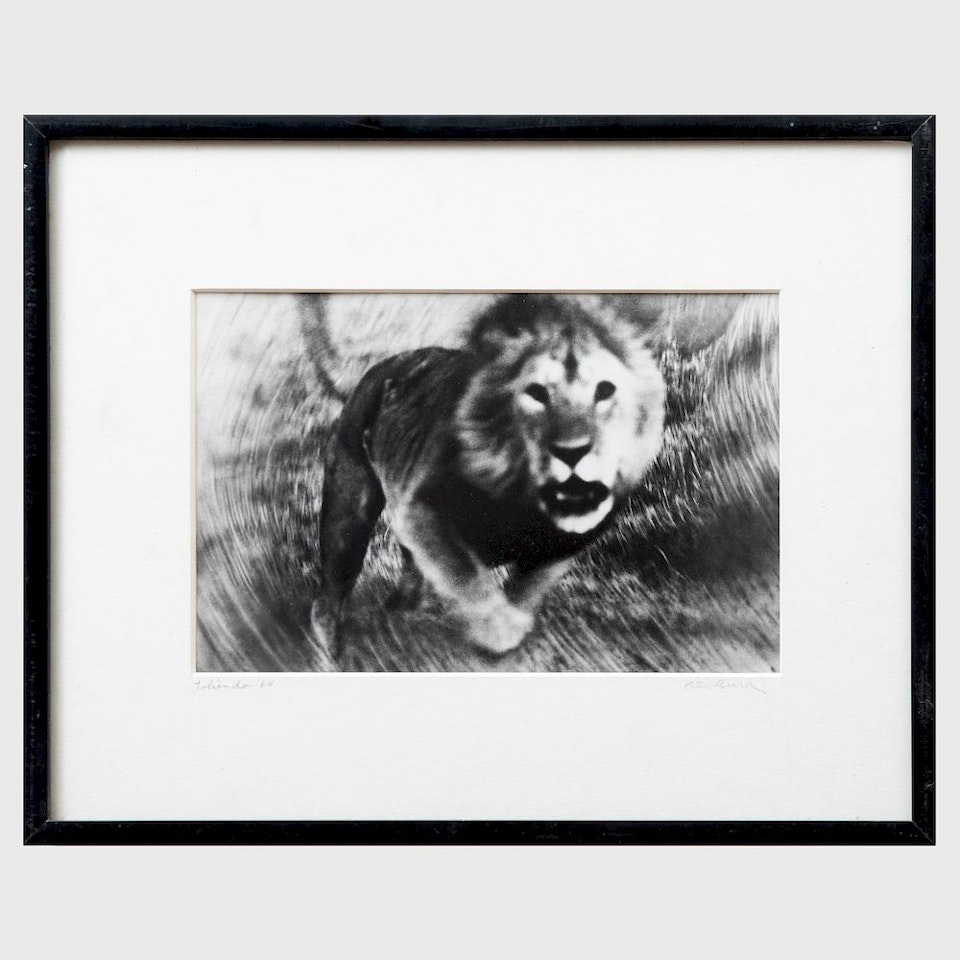 Loliondo by Peter Beard
