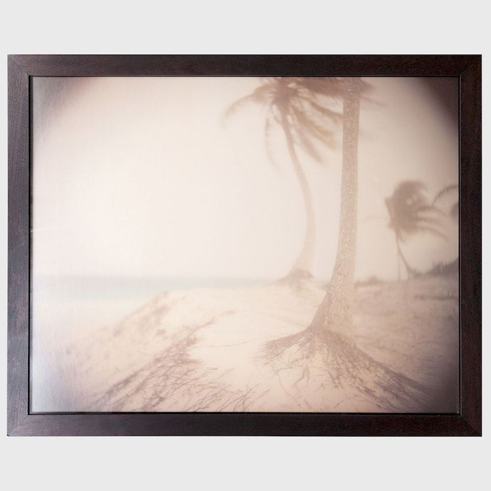 Untitled #854 by Sally Mann